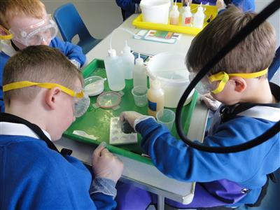 Lamington Primary School  2012-2013