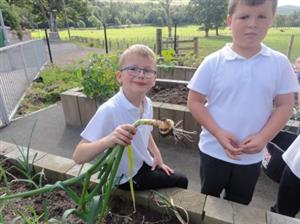 Lamington Primary Gallery 2015-2016 Image 1